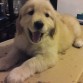 bueno tenia como 3 meses! jejje aqui de coqueta!!